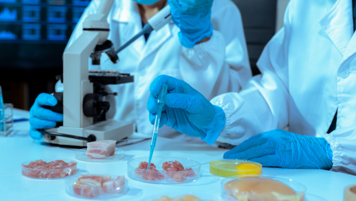 USDA move to decommission Beltsville Research Center sparks food safety and legal concerns