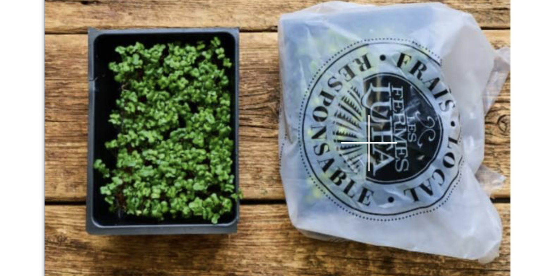 More microgreens recalled in Canada because of E. coli