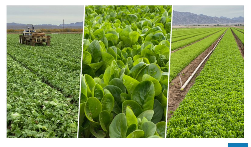 California Leafy Greens growers spend less than $60 per acre on food safety efforts