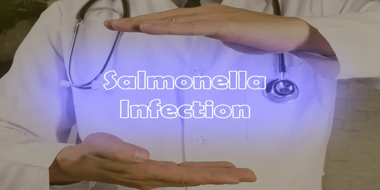 Study shows link between climate and antimicrobial resistant Salmonella