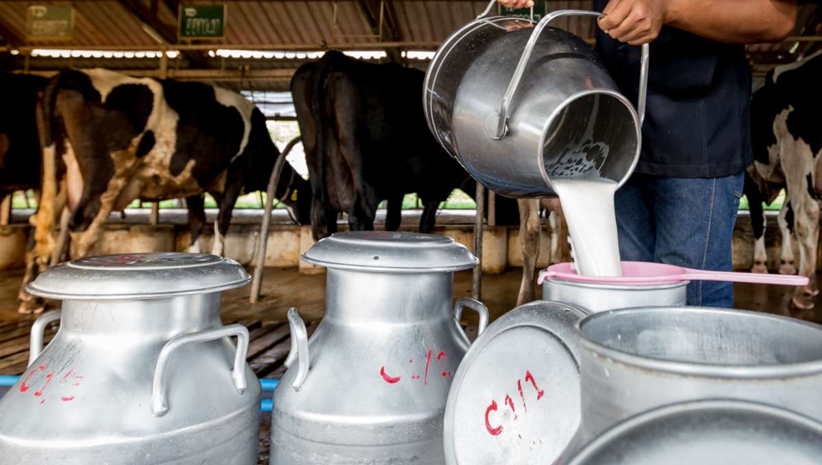 Raw milk outbreak reported in Louisiana