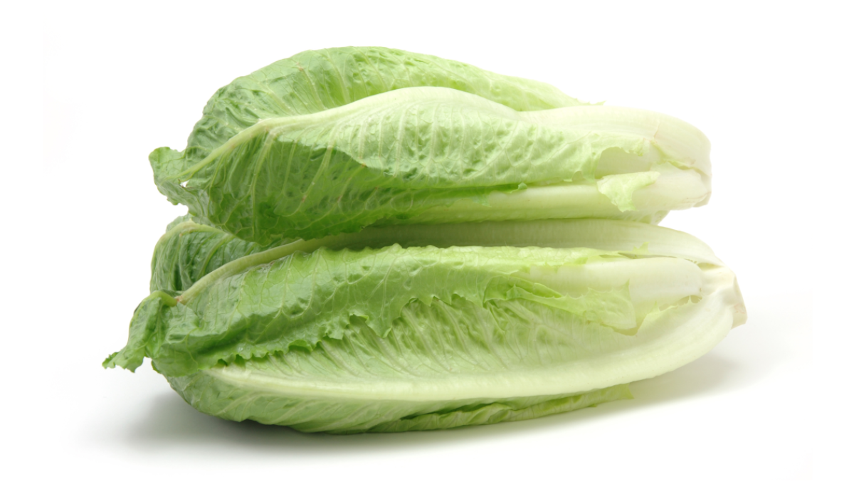 Publisher's Platform: What the FDA did not want you to read about the November 2024 romaine E. coli outbreak