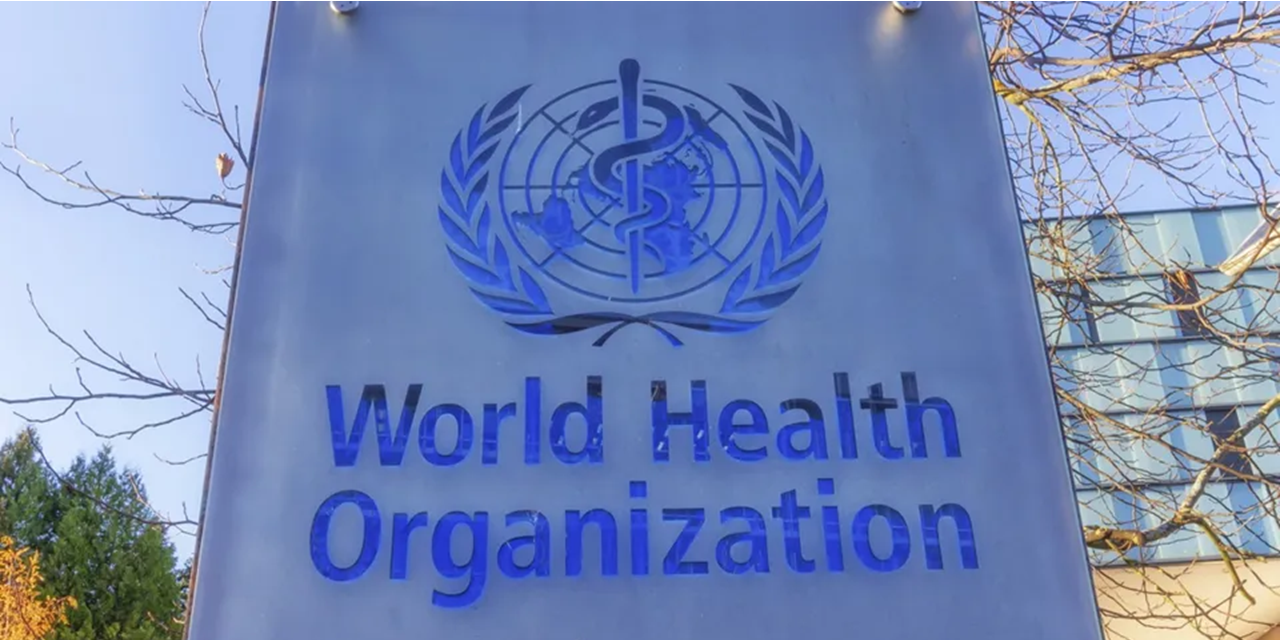 Understanding burden is ‘just the beginning’, says WHO group
