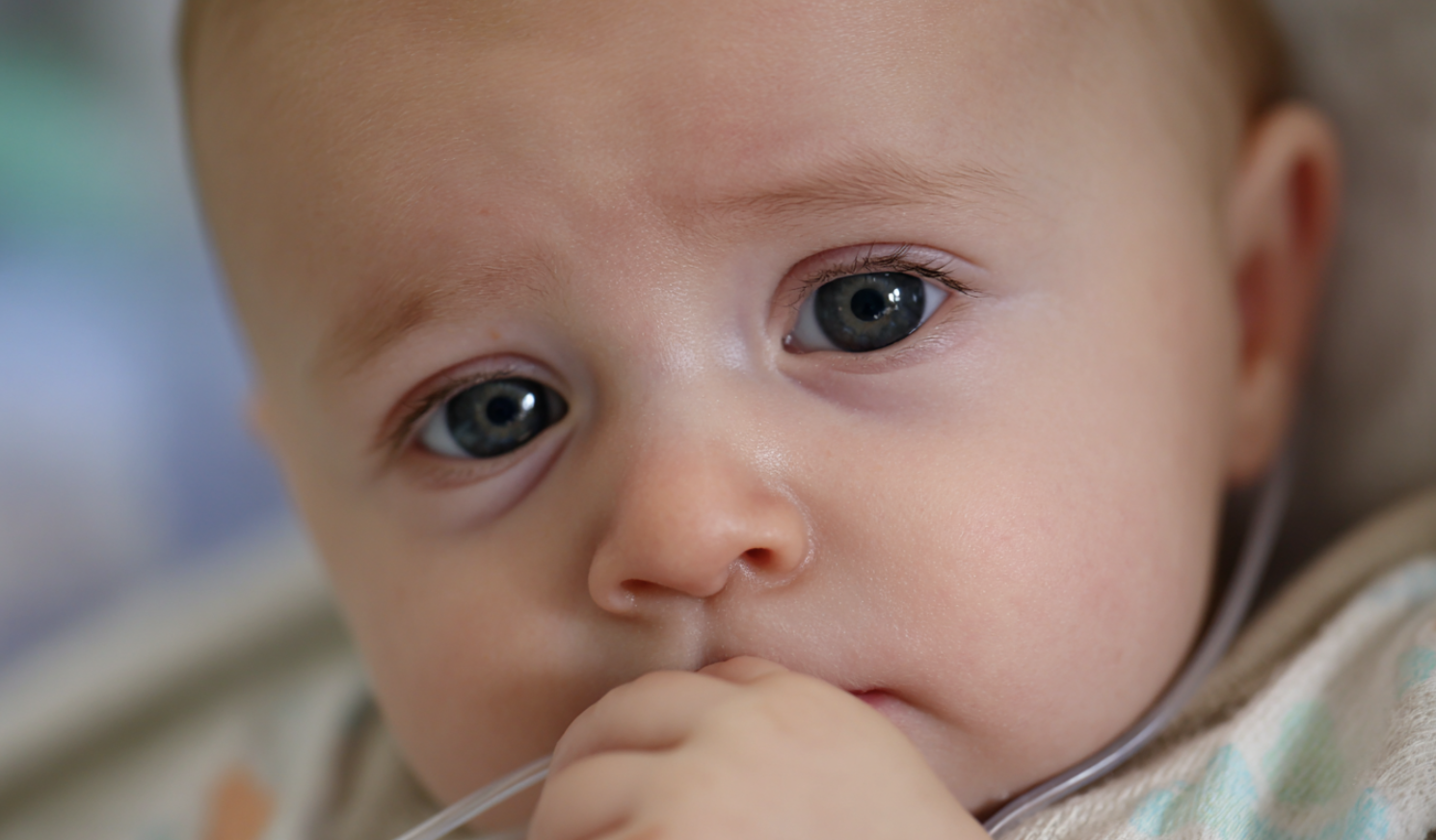 DOJ ends investigation into infant formula company linked to deadly cronobacter outbreak