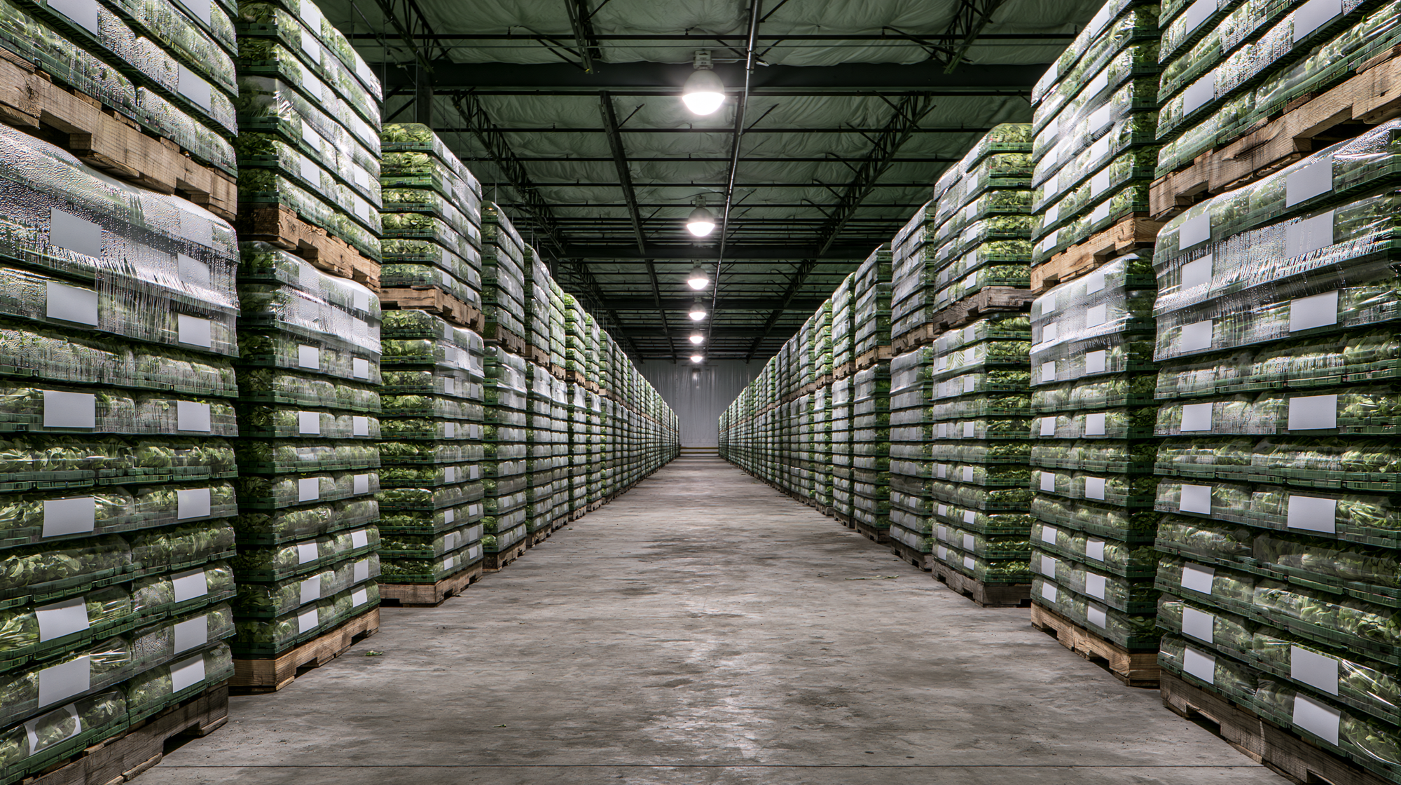 Publisher’s Platform: The Traceability Rule Was Supposed to Be Law in January. This Cyclospora Outbreak Started in May.