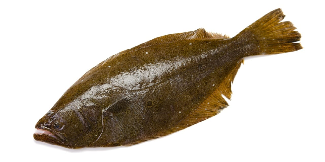 Study flags risks of raw fish consumption