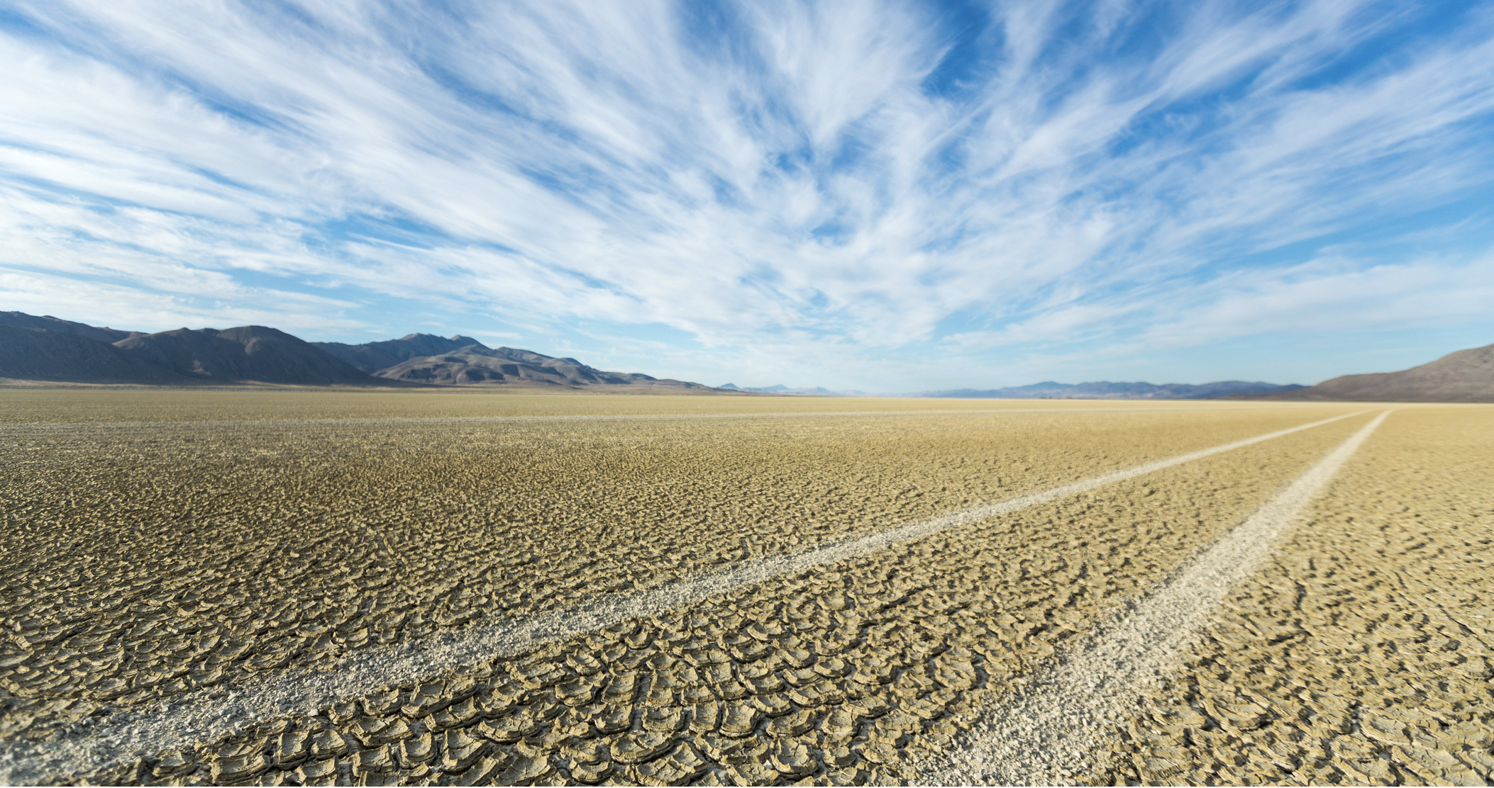 Sunday Edition: Regenerative Agriculture