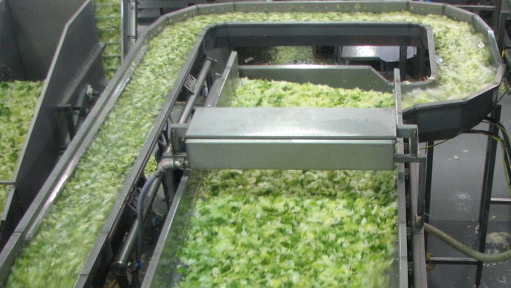 Cyclospora outbreak patient count tops 20,000