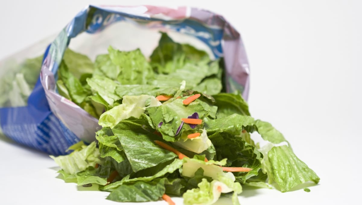 Michigan officials say salad likely cause of Cyclospora outbreak