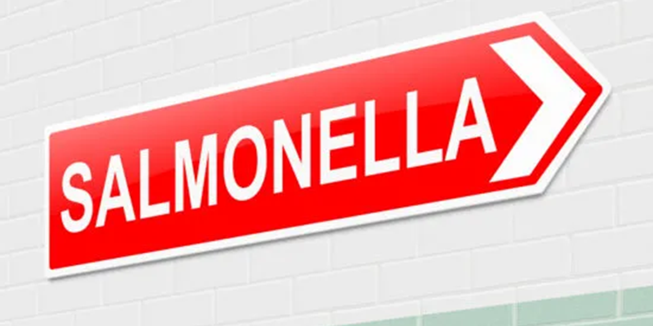 UK reports Salmonella outbreak with 200 sick and one dead