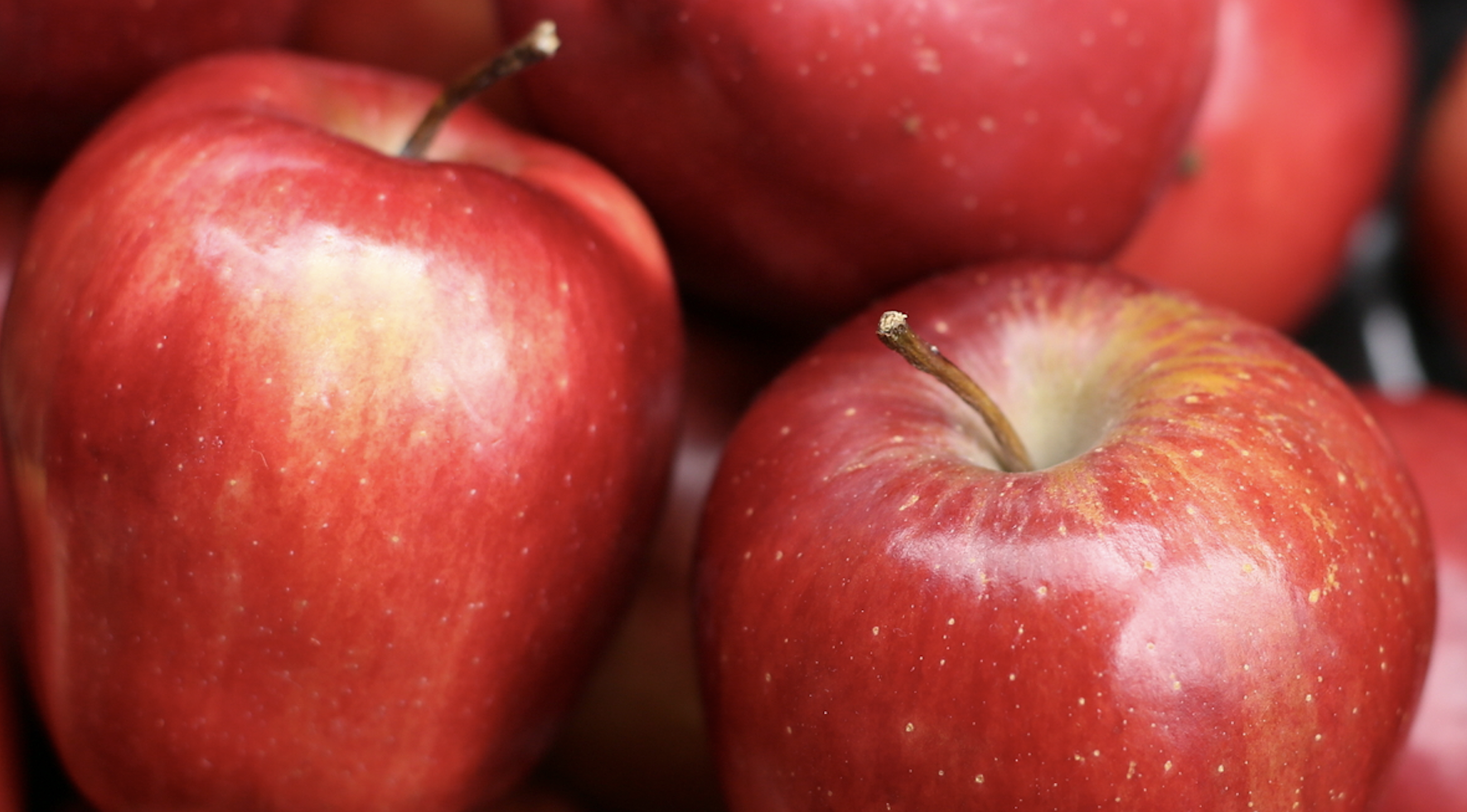 A revolution is on the way in how apples are harvested