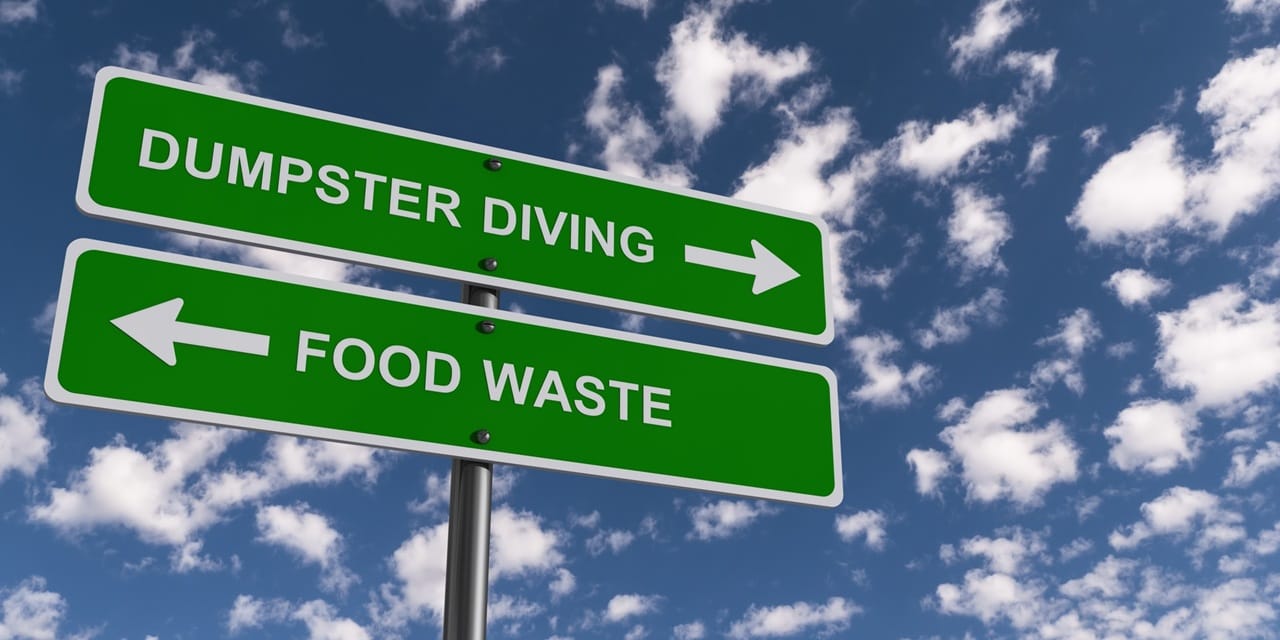 Scientists highlight food safety angle of dumpster diving