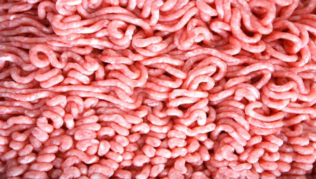 Publisher's Platform: Hamburger E. coli was 95 percent of my practice until federal inspection ended it. On-farm slaughter would bring it back.