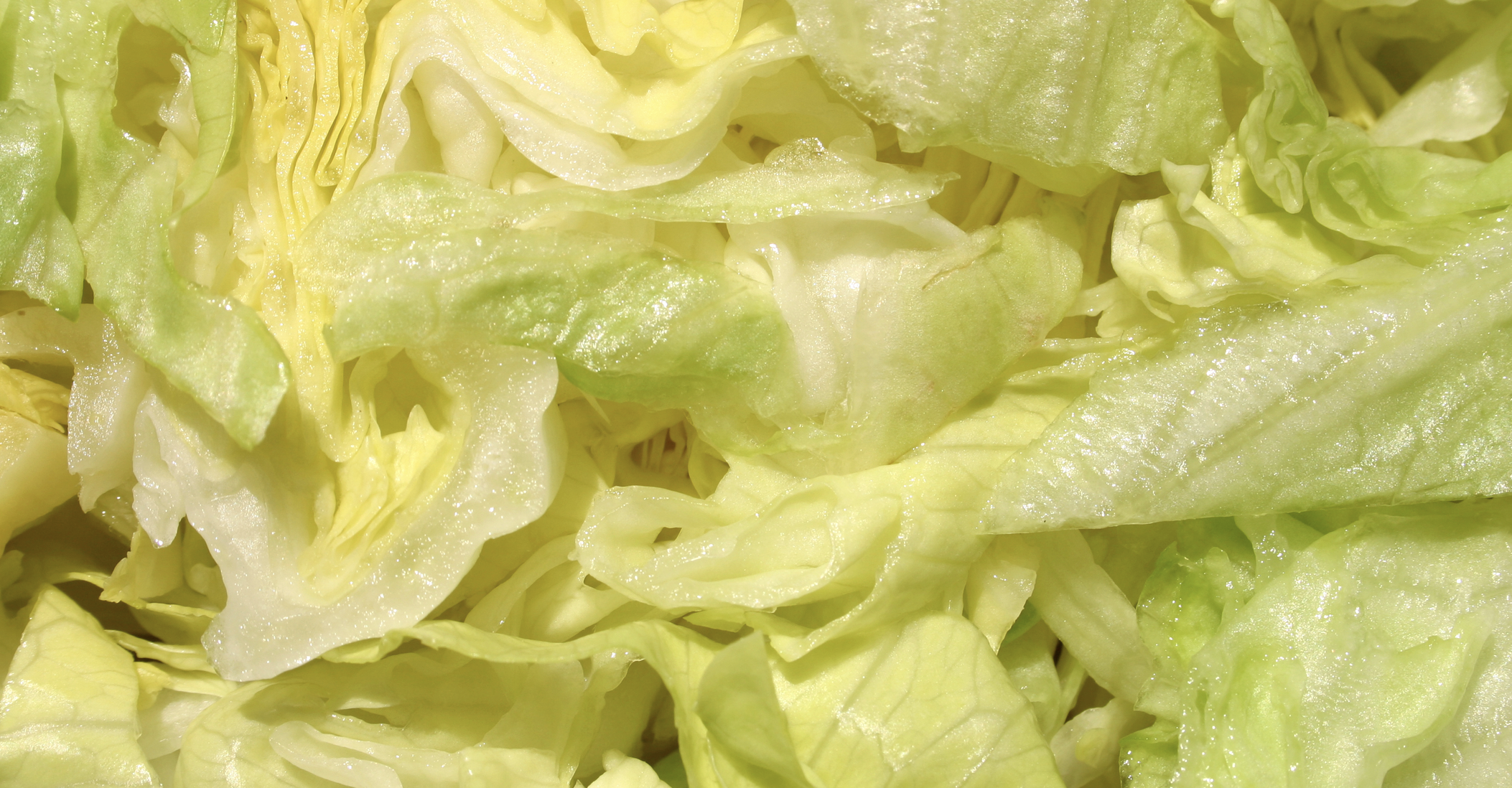 CDC adds more than 3,000 more patients to count in Cyclospora outbreak linked to lettuce