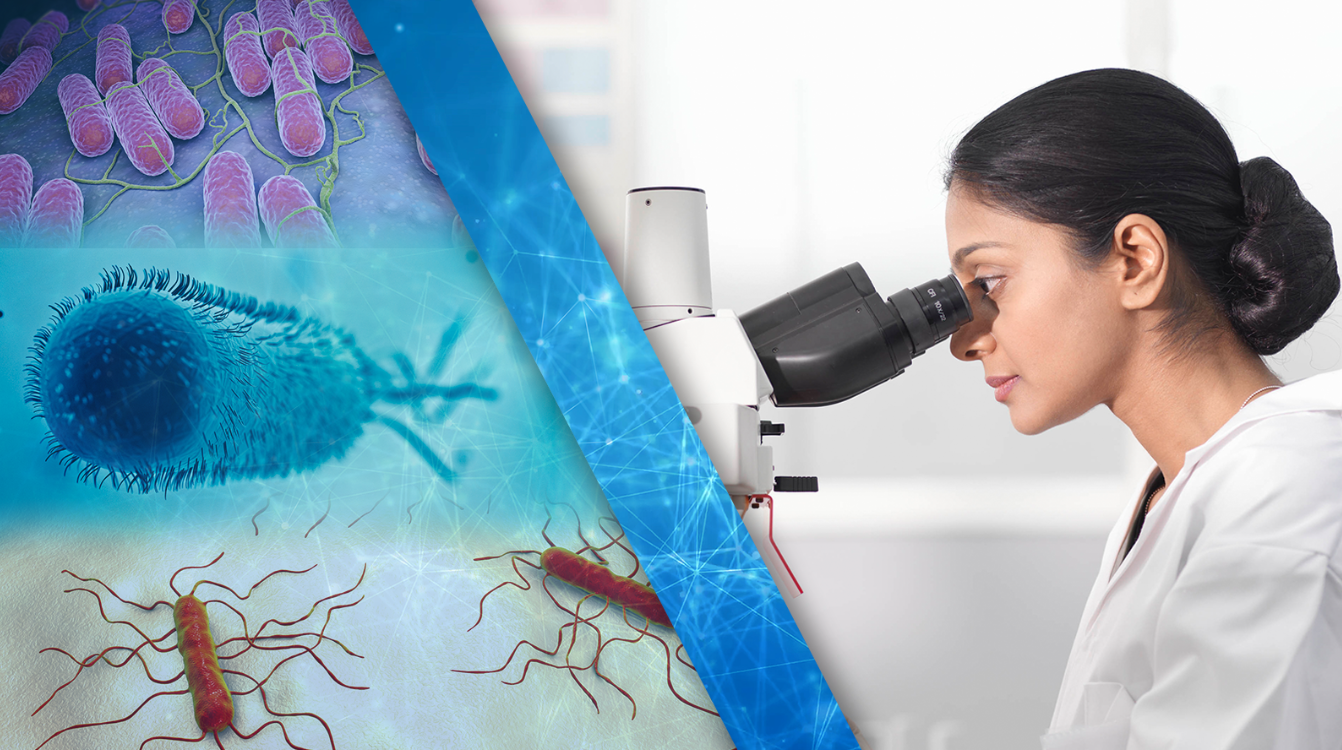 FDA tracking 17 active outbreaks