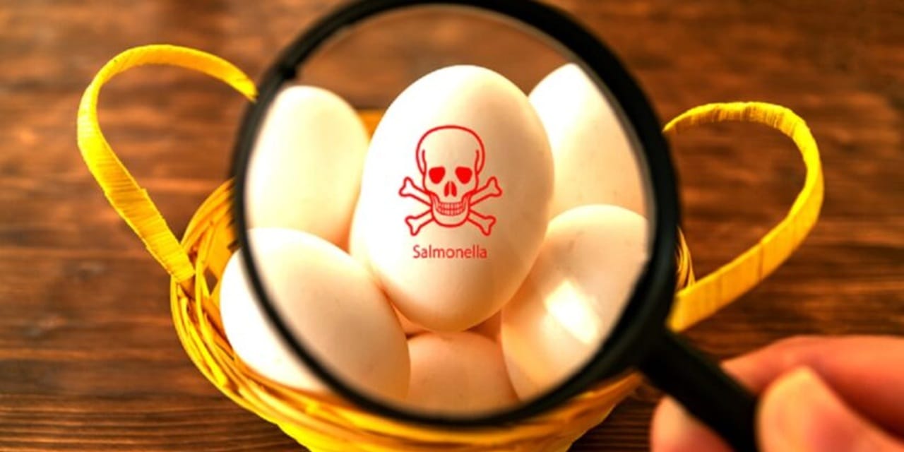 UK most affected in multi-country Salmonella outbreak