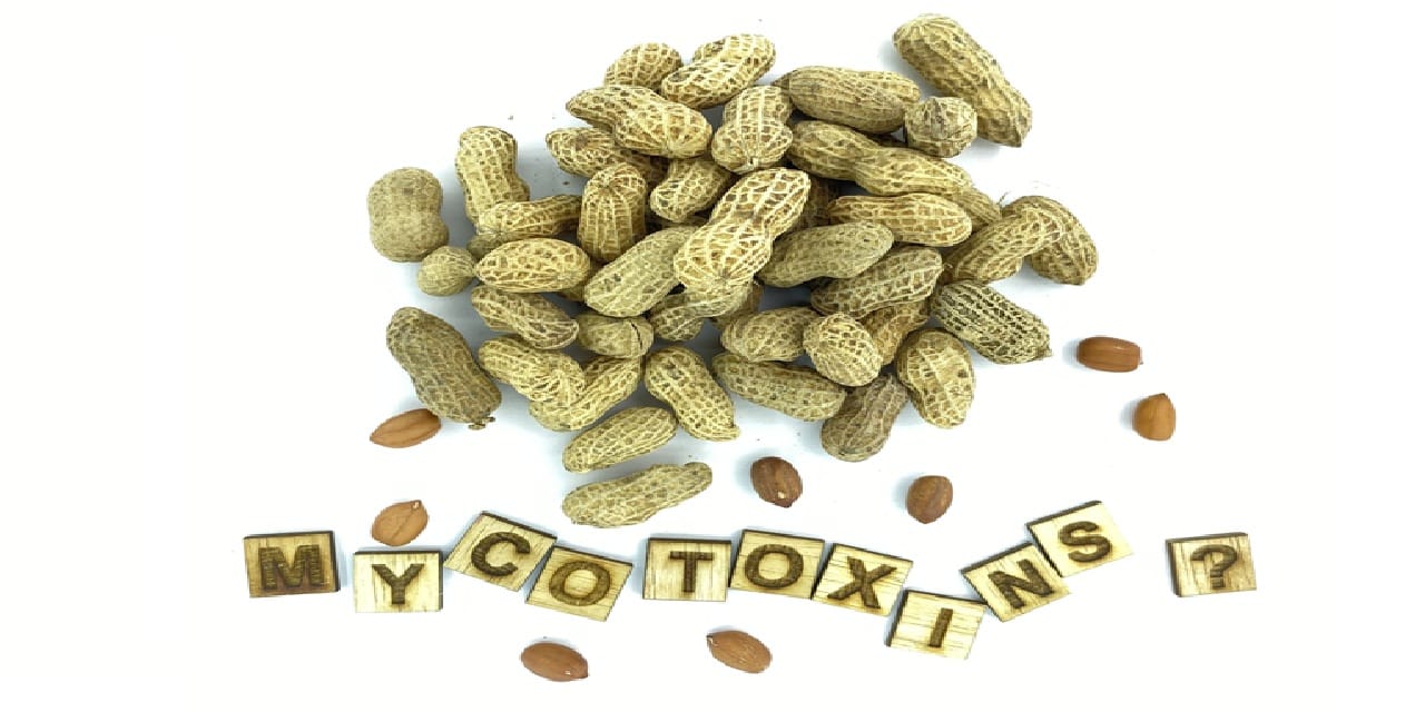 German survey finds limited mycotoxin awareness
