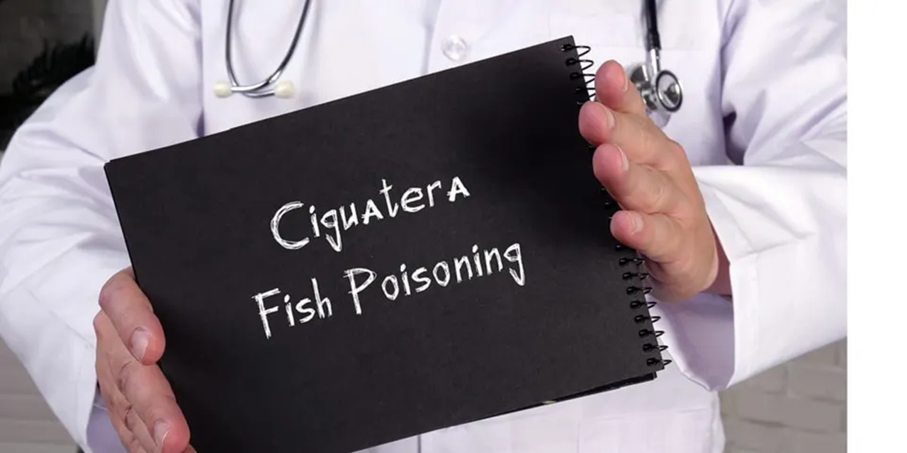 Project results add to Ciguatera knowledge in Europe